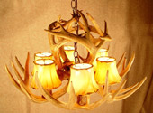 Real Antler White-Tail Basket Chandelier