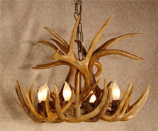 White Tail Deer Chandeliers