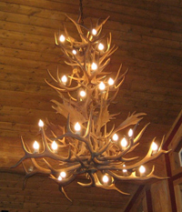 Reproduction Elk / Fallow/ White-tail / Mule Deer chandelier